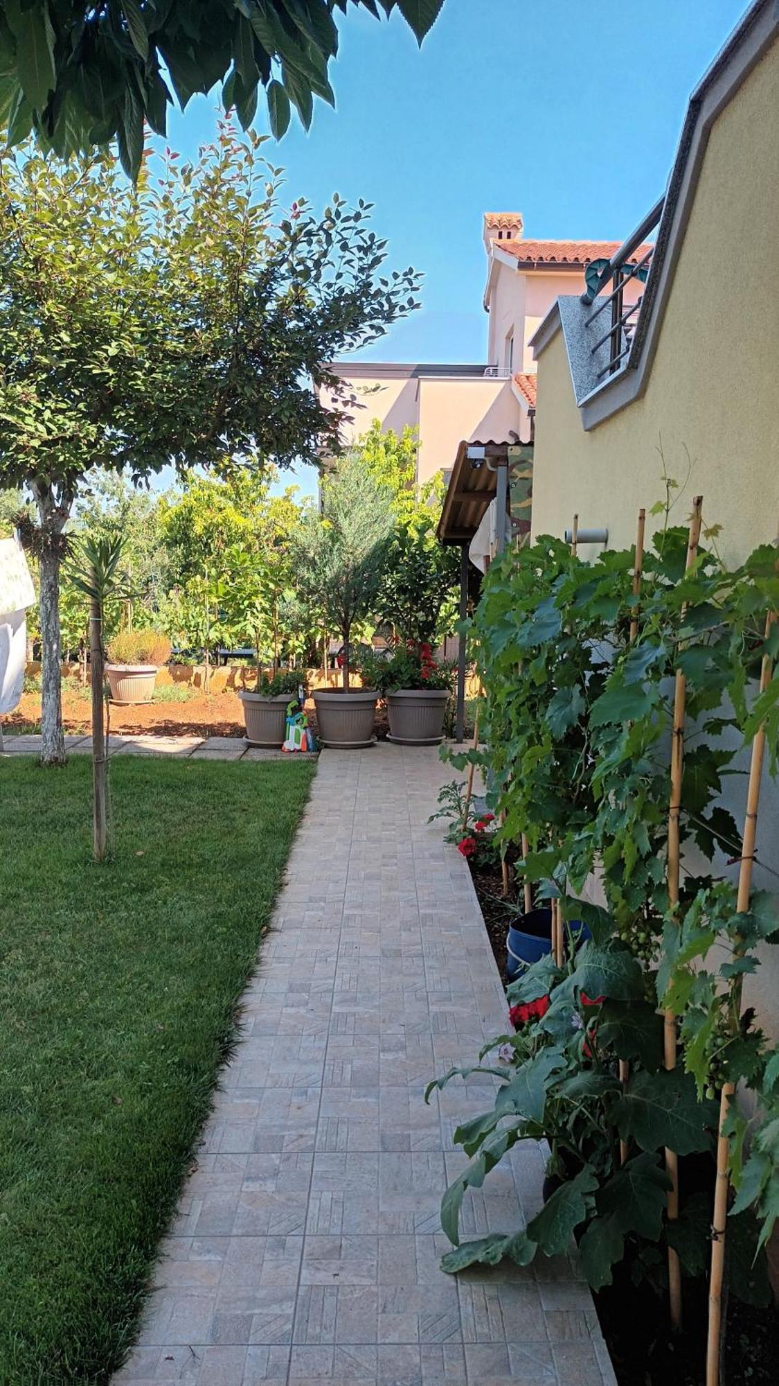 Apartments Monte Magno Пула Экстерьер фото