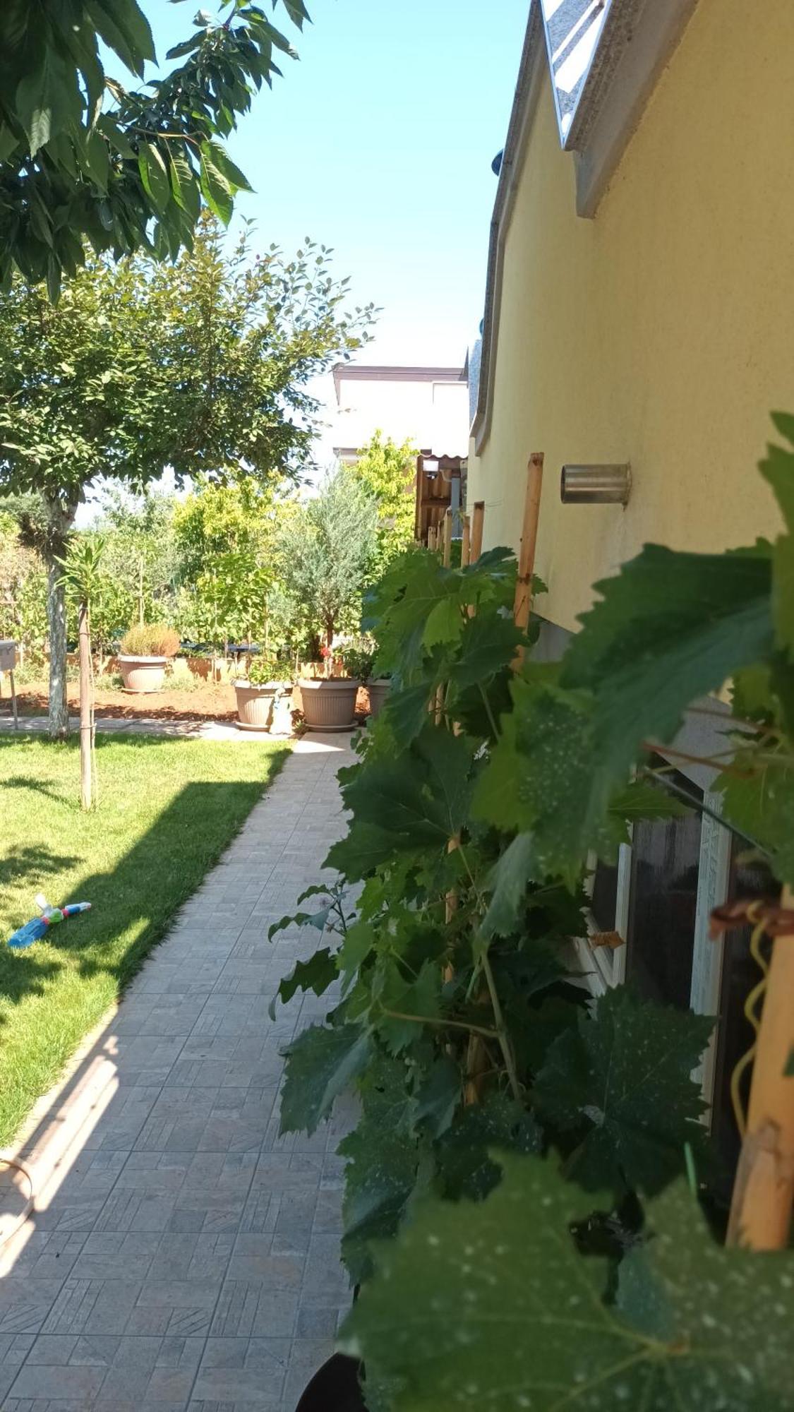 Apartments Monte Magno Пула Экстерьер фото